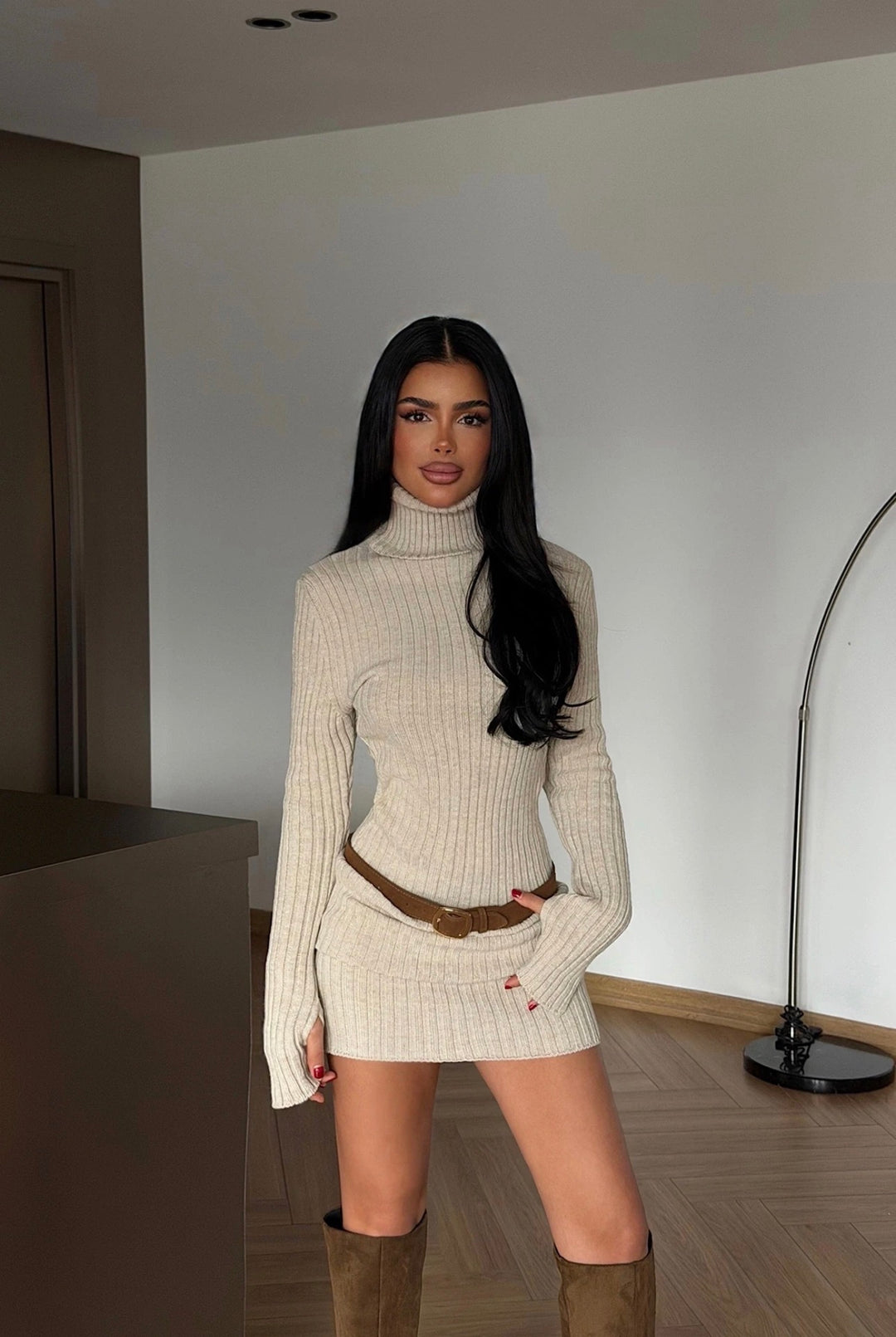 Lorie High Neck Long Sleeve Knit Mini Dress